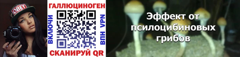 KRAKEN вход  где купить   Артёмовск  Галлюциногенные грибы мухоморы 